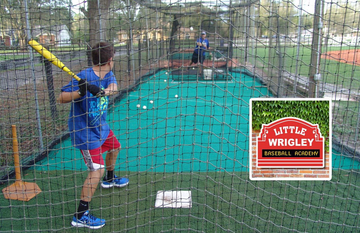 Little Wrigley Baseball AcademyTampa Baseball InstructionYouth