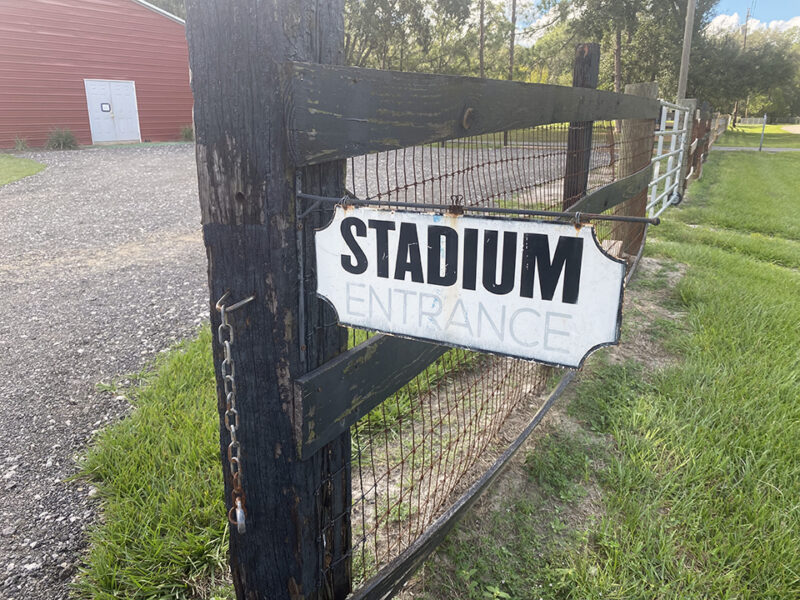 Gallery Little Wrigley Baseball Academy, Tampa Baseball Instruction